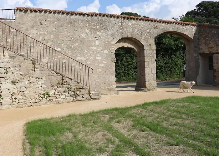 Logis De Caractère 18ème Siècle, 10 Personnes - Fr-1-426-428 Hébergement de vacances Les Herbiers